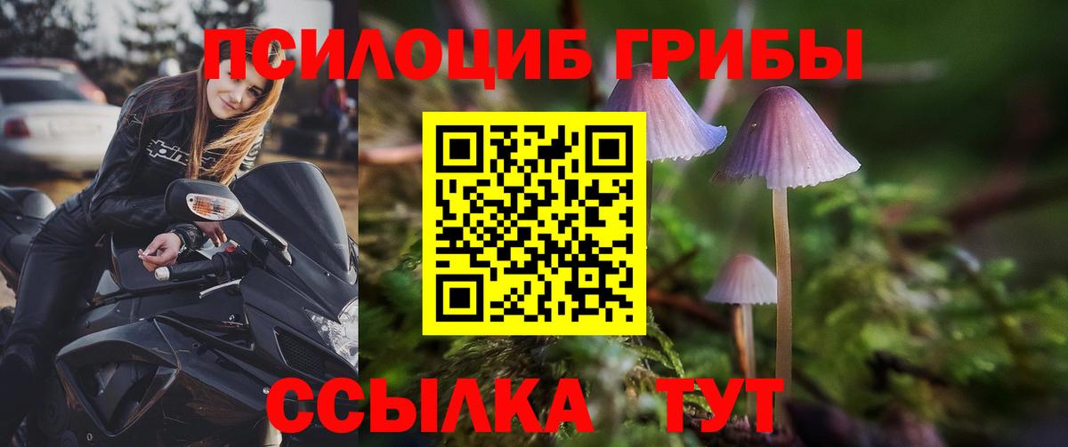 Псилоцибиновые грибы мухоморы Чита