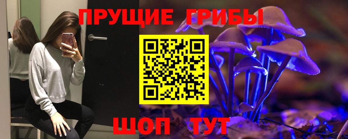 Псилоцибиновые грибы мицелий  Вход с VPN  Чита 